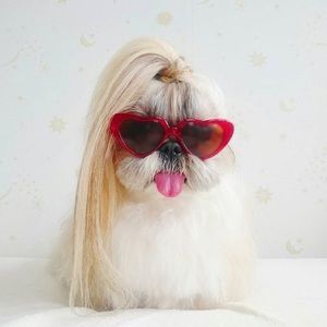 Meet your Posher, Aya